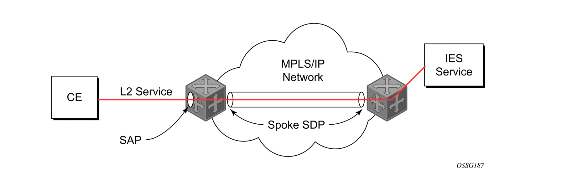 Virtual Private Routed Network Service