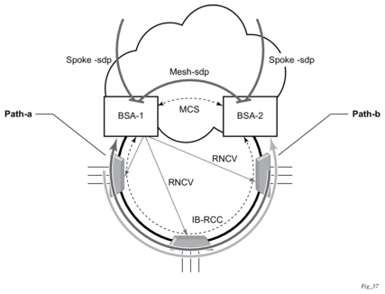 Настройка dual ring и dual homing на коммутаторах moxa