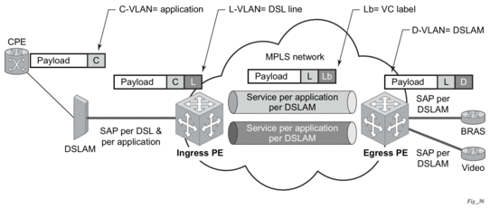 3. Virtual Private LAN Service