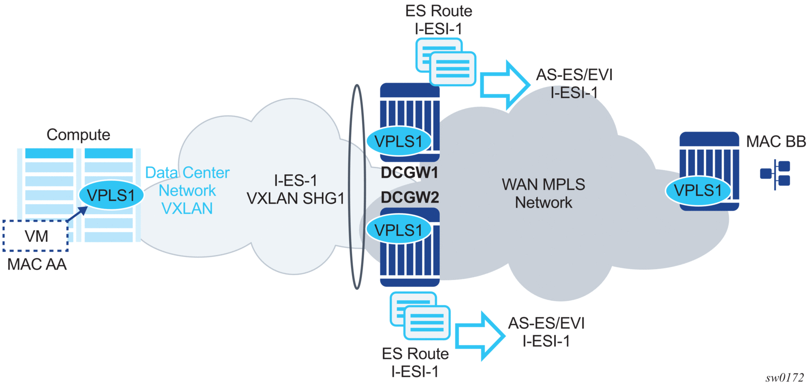 5. Ethernet Virtual Private Networks (EVPNs)