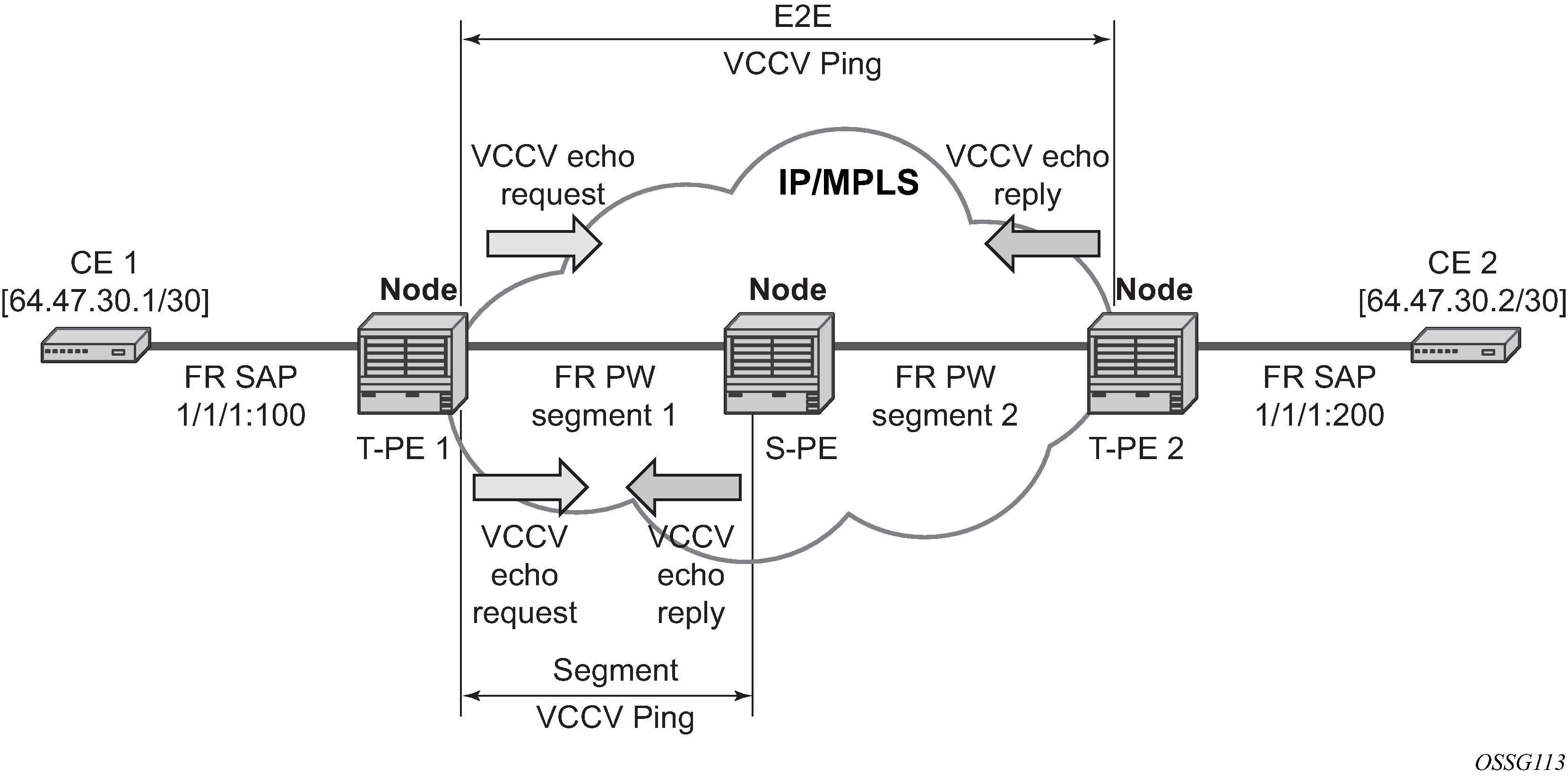 VCCV ping in a multi-segment pseudowire